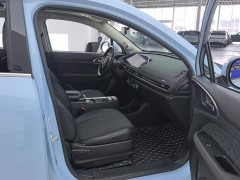 ORA Good Cat 2021 400km Standard Range Athena Edition Ternary Lithium - ფოტო 8