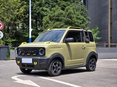 Geely Panda 200km Panda Knight - ფოტო 1