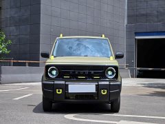 Geely Panda 200km Panda Knight - ფოტო 4
