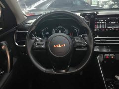 Kia Sportage Ace 2.0L Challenge Edition - ფოტო 15
