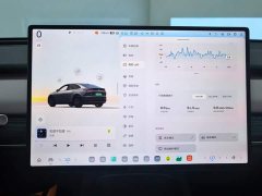 Nio Lerado L60 60kWh Rear-Wheel Drive - ფოტო 14