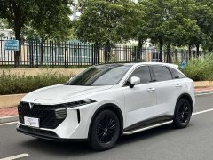 Changan Raize 2021 260T Love Bean Edition - ფოტო 1
