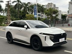 Changan Raize 2021 260T Love Bean Edition - ფოტო 3
