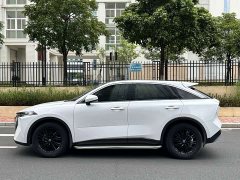 Changan Raize 2021 260T Love Bean Edition - ფოტო 8