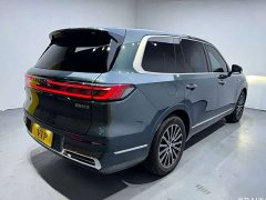 Geely Galaxy M9 2025 230km Two-Wheel Drive Explorer Edition - ფოტო 4