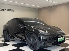 Tesla Model Y 2023 Rear-Wheel Drive - ფოტო 2