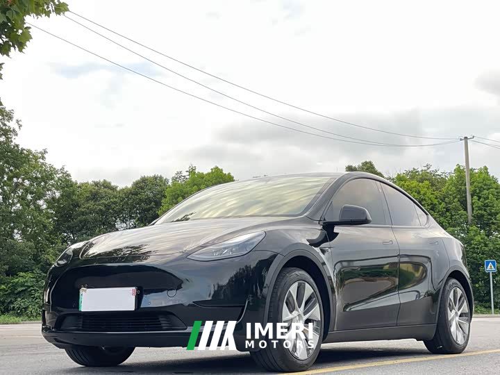 Tesla Model Y Rear-Wheel Drive