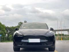 Tesla Model Y Rear-Wheel Drive - ფოტო 2