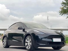 Tesla Model Y Rear-Wheel Drive - ფოტო 3
