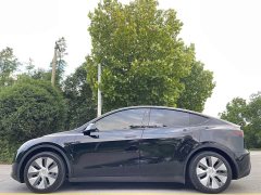 Tesla Model Y Rear-Wheel Drive - ფოტო 4