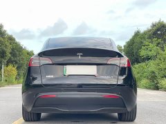 Tesla Model Y Rear-Wheel Drive - ფოტო 6