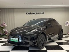 Tesla Model Y 2023 Long Range All-Wheel Drive - ფოტო 1
