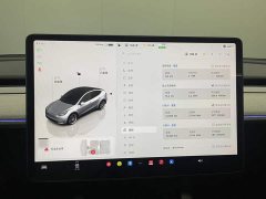 Tesla Model Y 2023 Long Range All-Wheel Drive - ფოტო 14