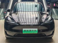 Tesla Model Y 2022 Facelift Rear-Wheel Drive - ფოტო 1