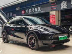 Tesla Model Y 2022 Facelift Rear-Wheel Drive - ფოტო 2