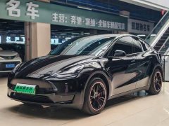 Tesla Model Y 2022 Facelift Rear-Wheel Drive - ფოტო 3
