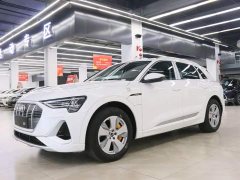 Audi e-tron 2021 50 quattro Luxury - ფოტო 1