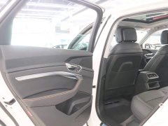 Audi e-tron 2021 50 quattro Luxury - ფოტო 14