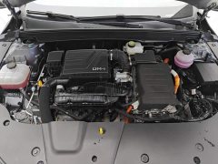 BYD Destroyer 05 Glory Edition DM-i 55KM Luxury - ფოტო 10