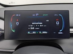 BYD Destroyer 05 Glory Edition DM-i 55KM Luxury - ფოტო 14