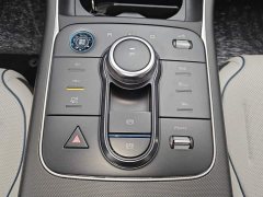 BYD Destroyer 05 Glory Edition DM-i 55KM Luxury - ფოტო 16