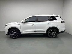 Chery Tiggo 8 PLUS Champion Edition 290TGDI DCT Passion Edition 7-Seater - ფოტო 3