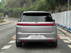 Li Auto Ideal L8 Air - ფოტო 9