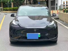 Tesla Model Y Rear-Wheel Drive - ფოტო 1