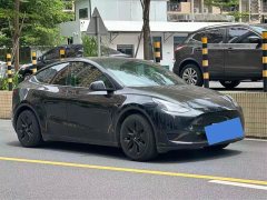 Tesla Model Y Rear-Wheel Drive - ფოტო 2