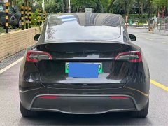 Tesla Model Y Rear-Wheel Drive - ფოტო 3