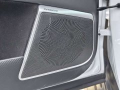 XPeng G9 2022 650 Performance Max - ფოტო 13
