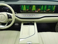 Great Wall WEY Blue Mountain 2023 Four-Wheel Drive Extended Range Version - ფოტო 16