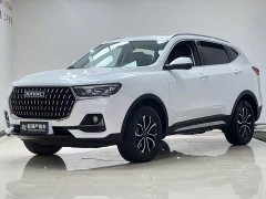 Haval H6 National Trend Edition 1.5T Automatic Urban Version - ფოტო 1