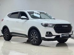 Haval H6 National Trend Edition 1.5T Automatic Urban Version - ფოტო 3
