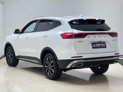 Haval H6 National Trend Edition 1.5T Automatic Urban Version - ფოტო 4