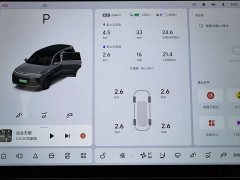 Li Auto L9 Max - ფოტო 13