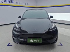 Tesla Model Y 2021 Performance All-Wheel Drive - ფოტო 2
