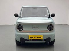 Geely Panda Mini 200km Endurance Edition - ფოტო 2