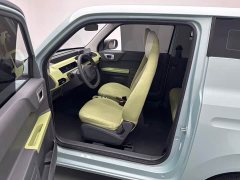 Geely Panda Mini 200km Endurance Edition - ფოტო 5