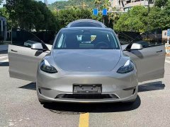 Tesla Model Y Long Range All-Wheel Drive - ფოტო 1