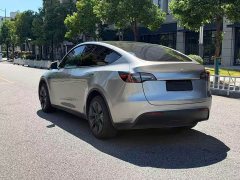 Tesla Model Y Long Range All-Wheel Drive - ფოტო 10