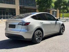 Tesla Model Y Long Range All-Wheel Drive - ფოტო 11
