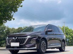 Wuling Kaijet 2.0L DHT Luxury - ფოტო 1