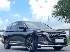 Wuling Kaijet 2.0L DHT Luxury - ფოტო 3