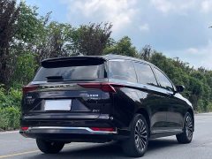 Wuling Kaijet 2.0L DHT Luxury - ფოტო 7