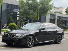 BMW 5 Series Facelift 530Li M Sport Luxury - ფოტო 3