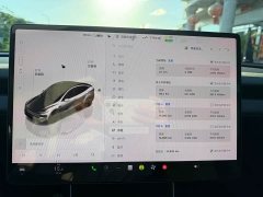 Tesla Model Y Rear-Wheel Drive - ფოტო 13