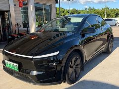 Tesla Model Y Rear-Wheel Drive - ფოტო 3