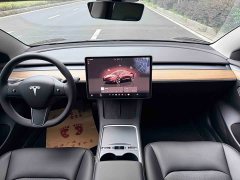 Tesla Model 3 2022 Rear-Wheel Drive - ფოტო 13