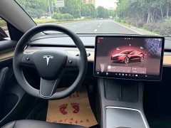 Tesla Model 3 2022 Rear-Wheel Drive - ფოტო 15
